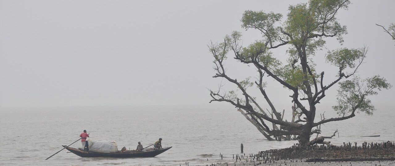 Sundarbans Travel Tips -Sundarbans – Sundarban Kaberi Travels