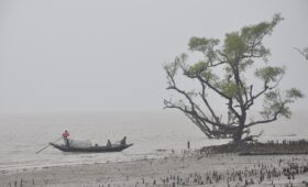 Sundarbans Travel Tips -Sundarbans – Sundarban Kaberi Travels